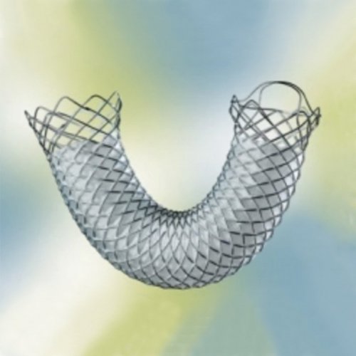 Stent Coating